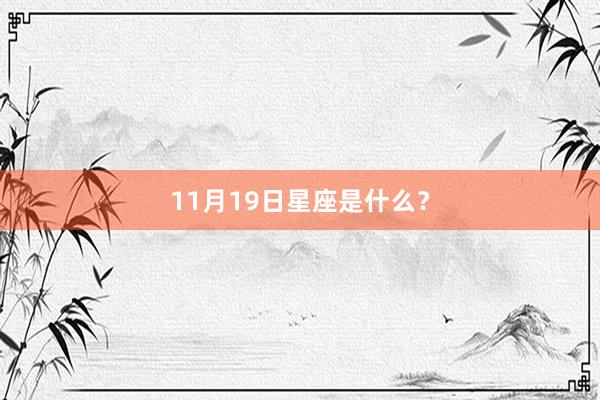 11月19日星座是什么？