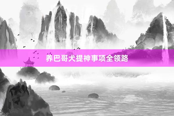 养巴哥犬提神事项全领路