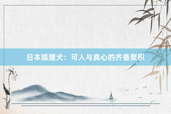 日本狐狸犬：可人与真心的齐备聚积
